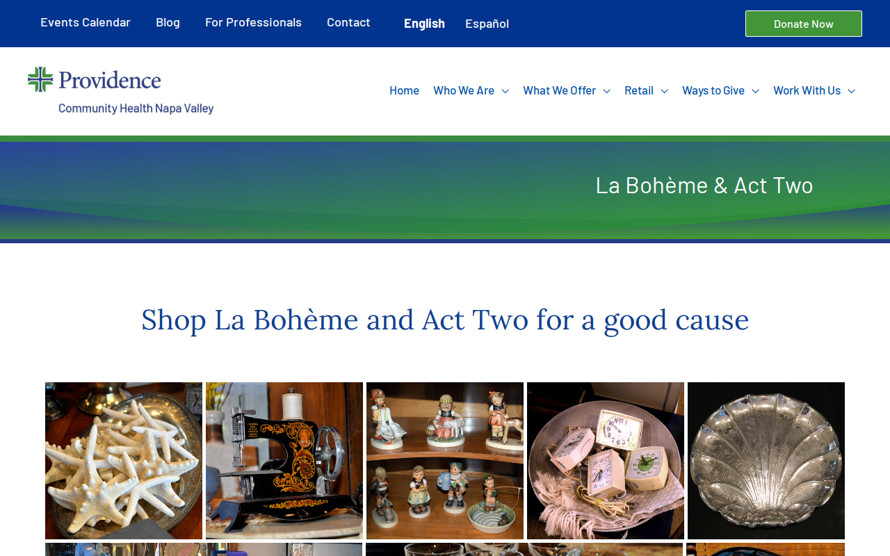 La Boheme website preview