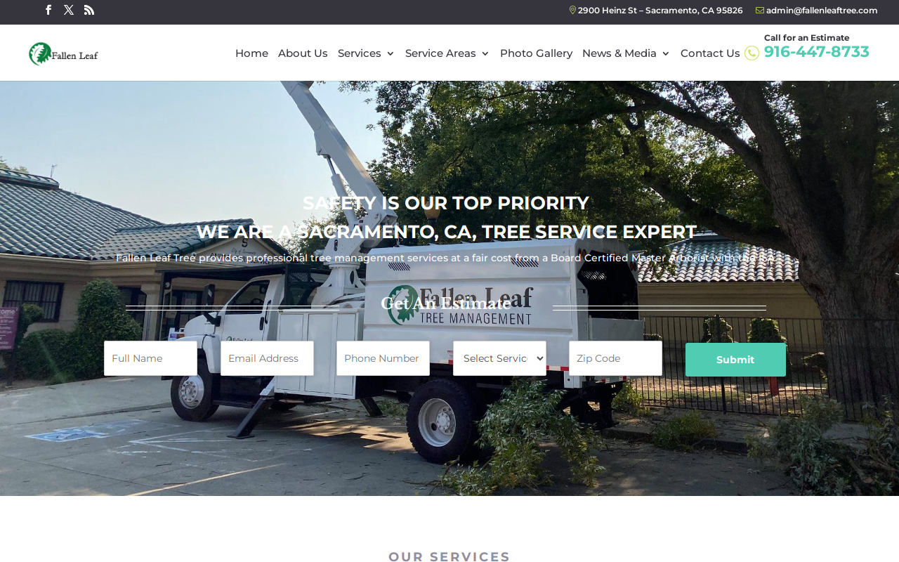 Family Tree Thrift Shoppe website preview