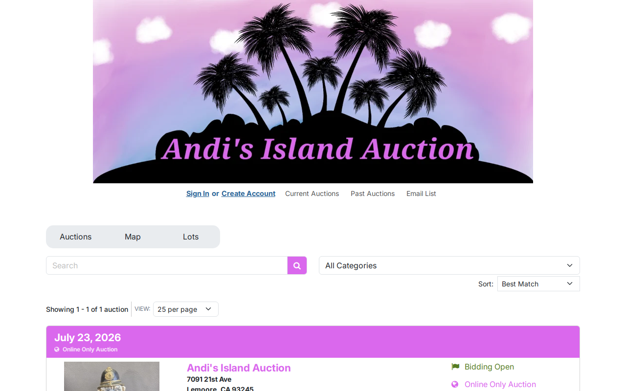 Andi's Island Auction website preview