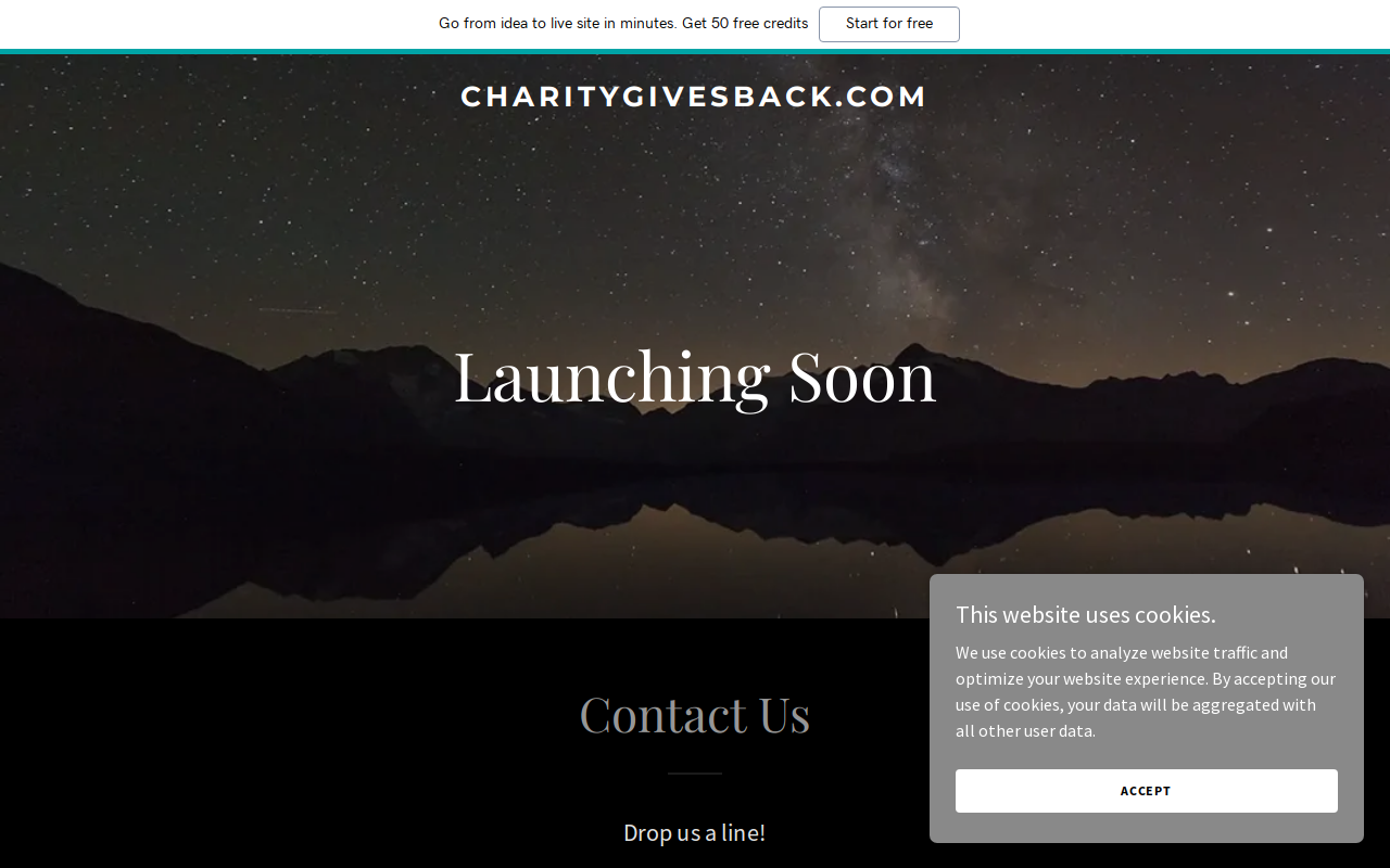 Charity Gives Back website preview
