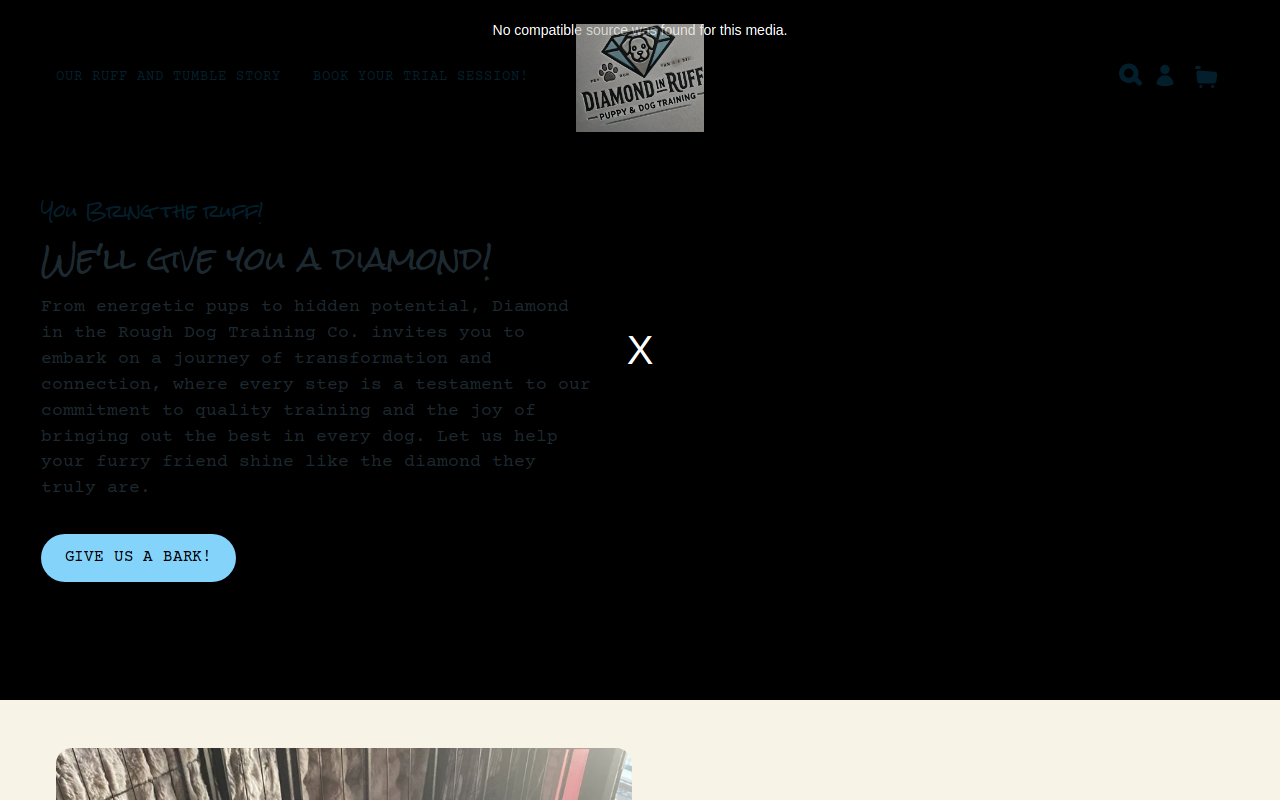 Diamond "N" The Ruff Thrift Shop website preview