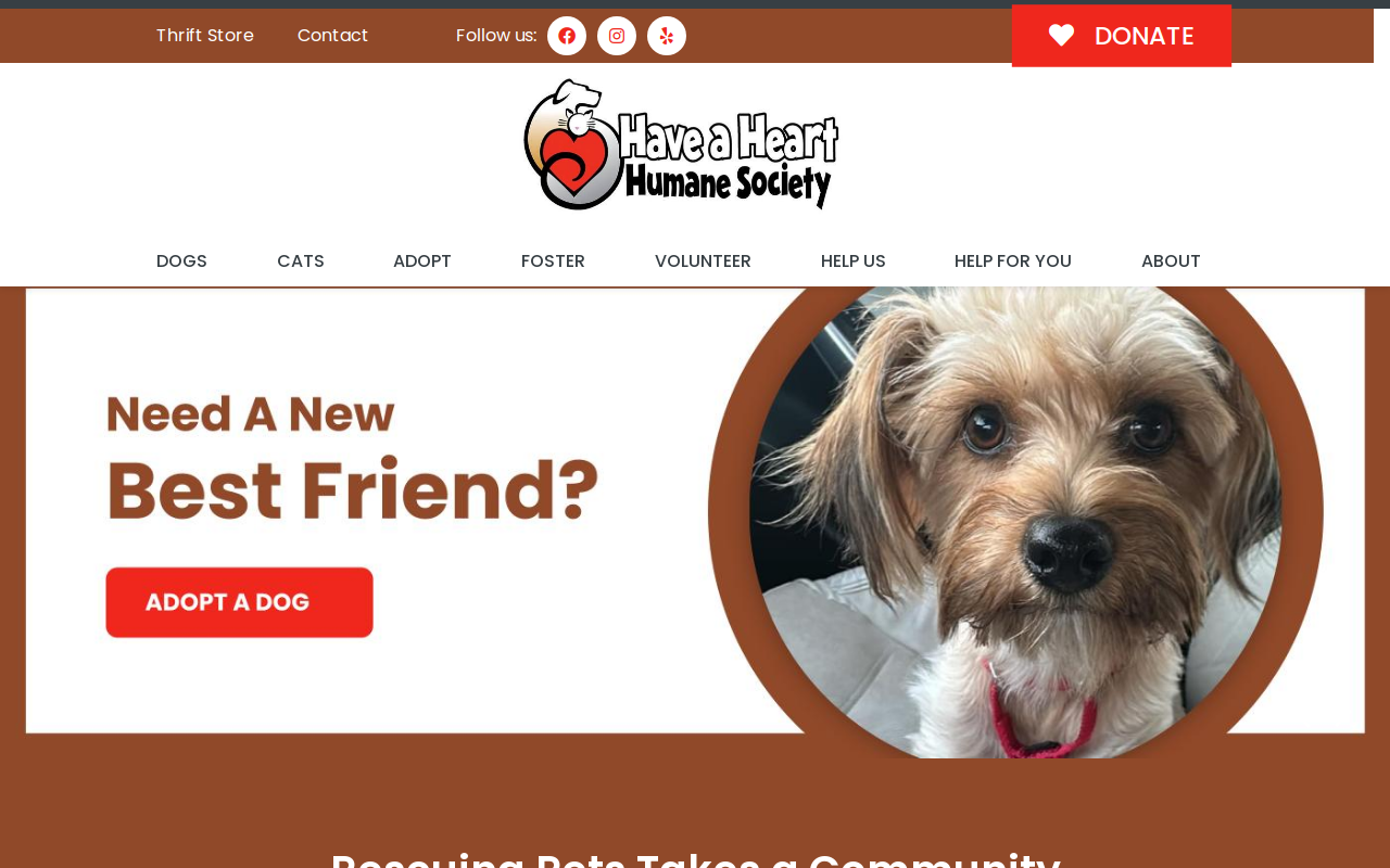 Rescued Treasures website preview