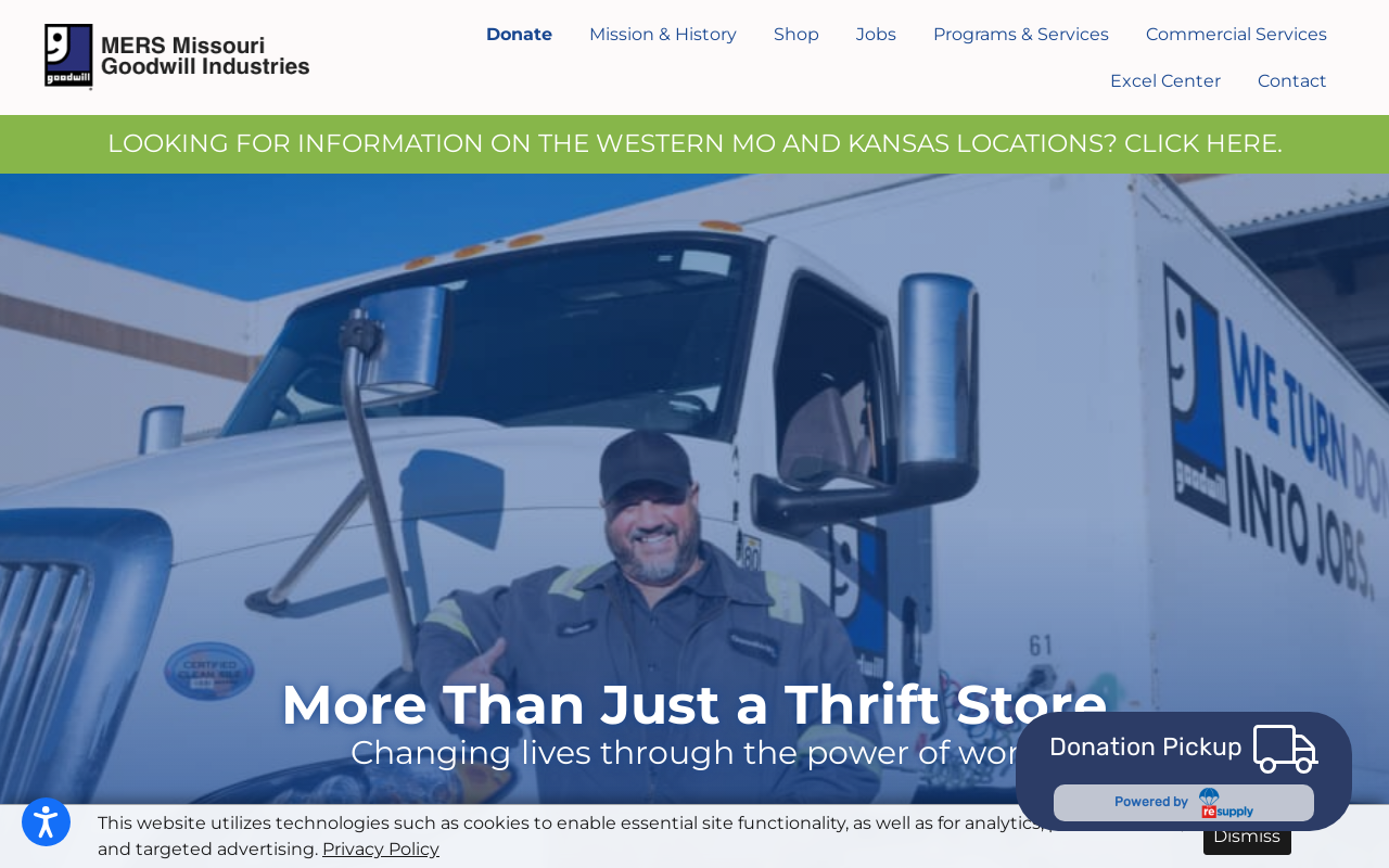 Goodwill website preview