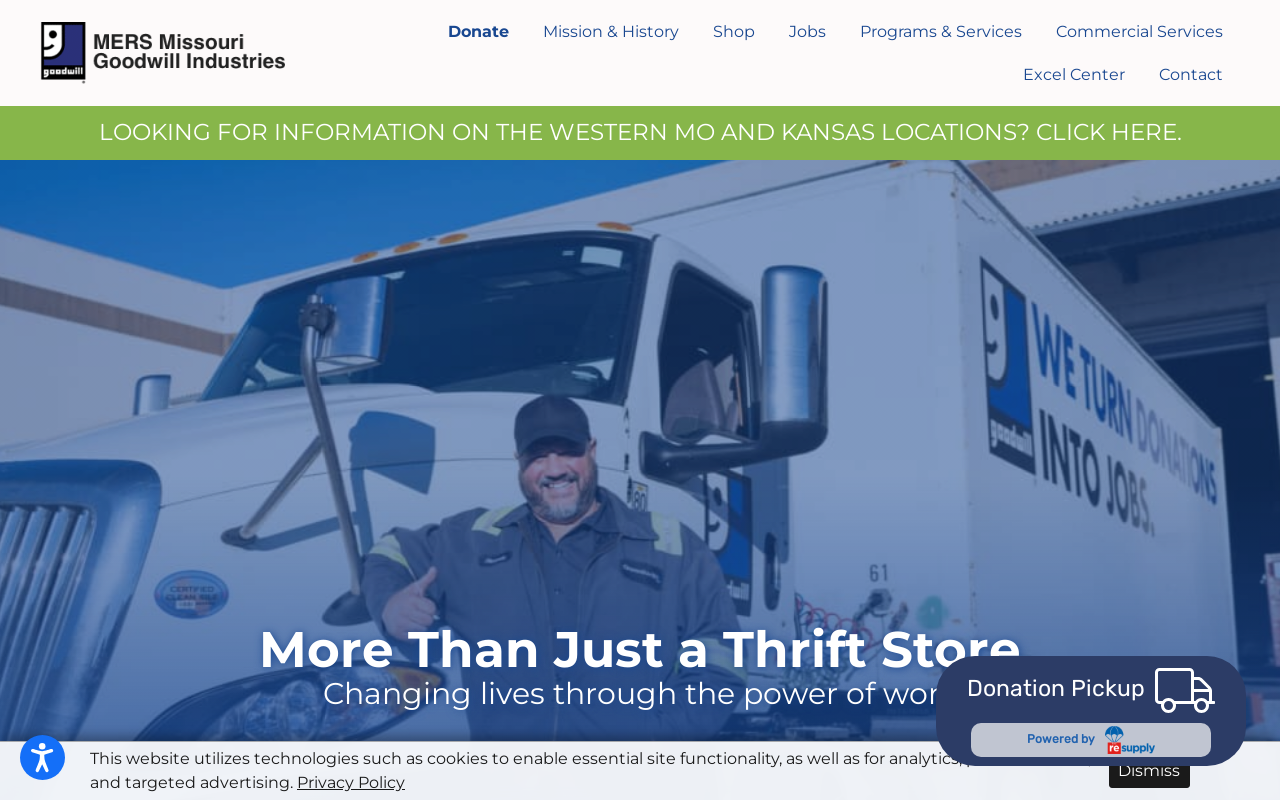 Goodwill website preview