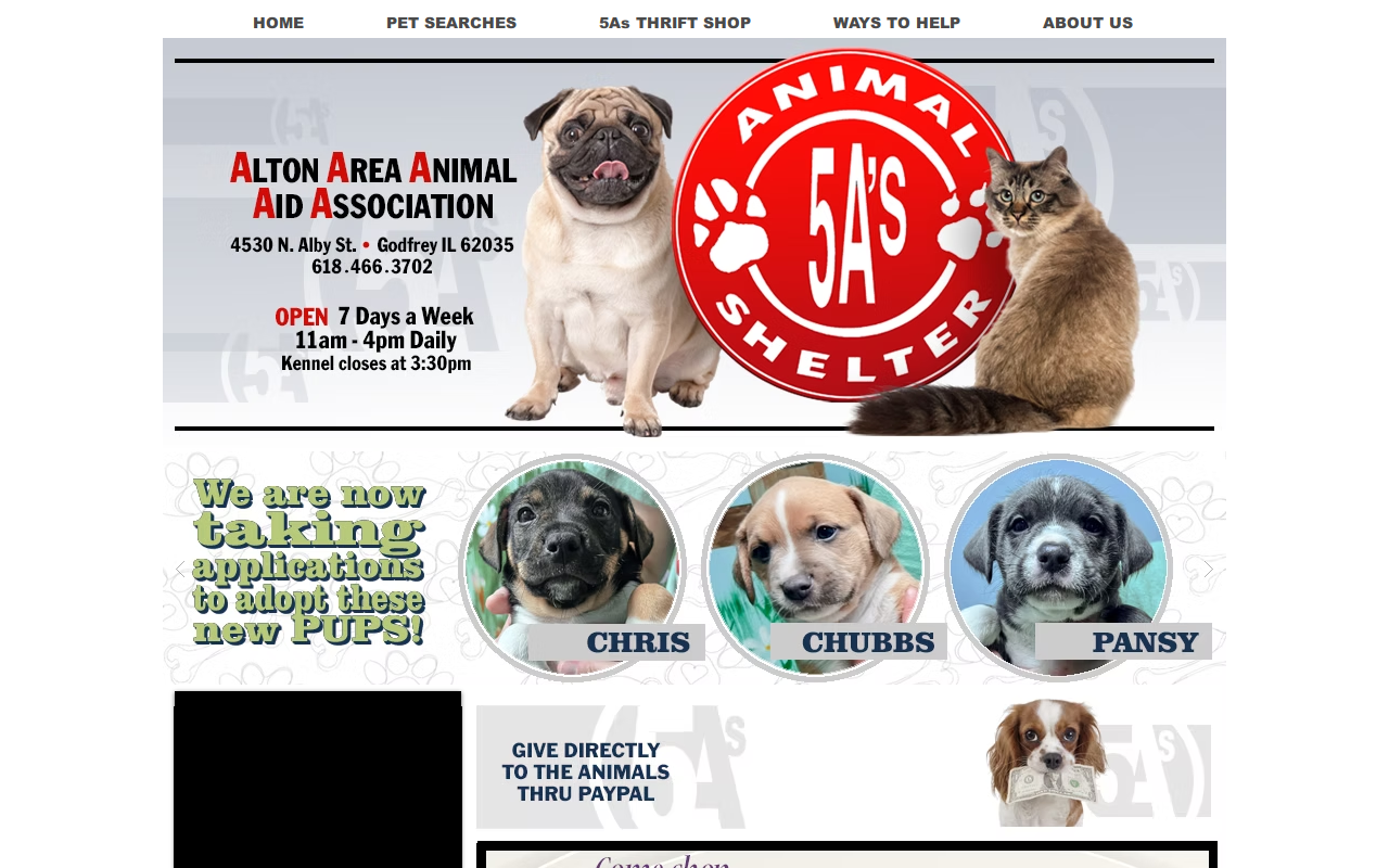 5As thrift store website preview