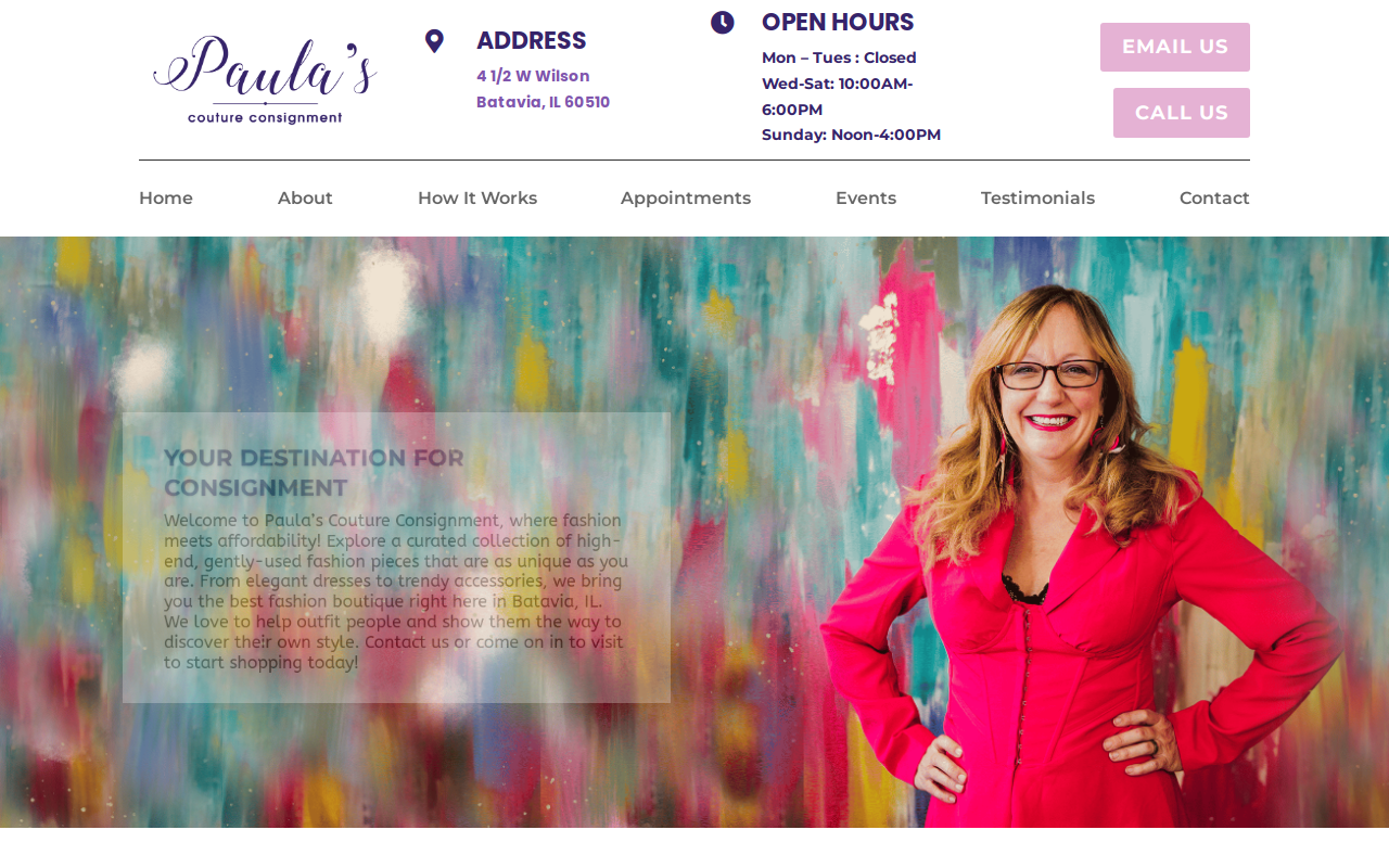 Paula's website preview