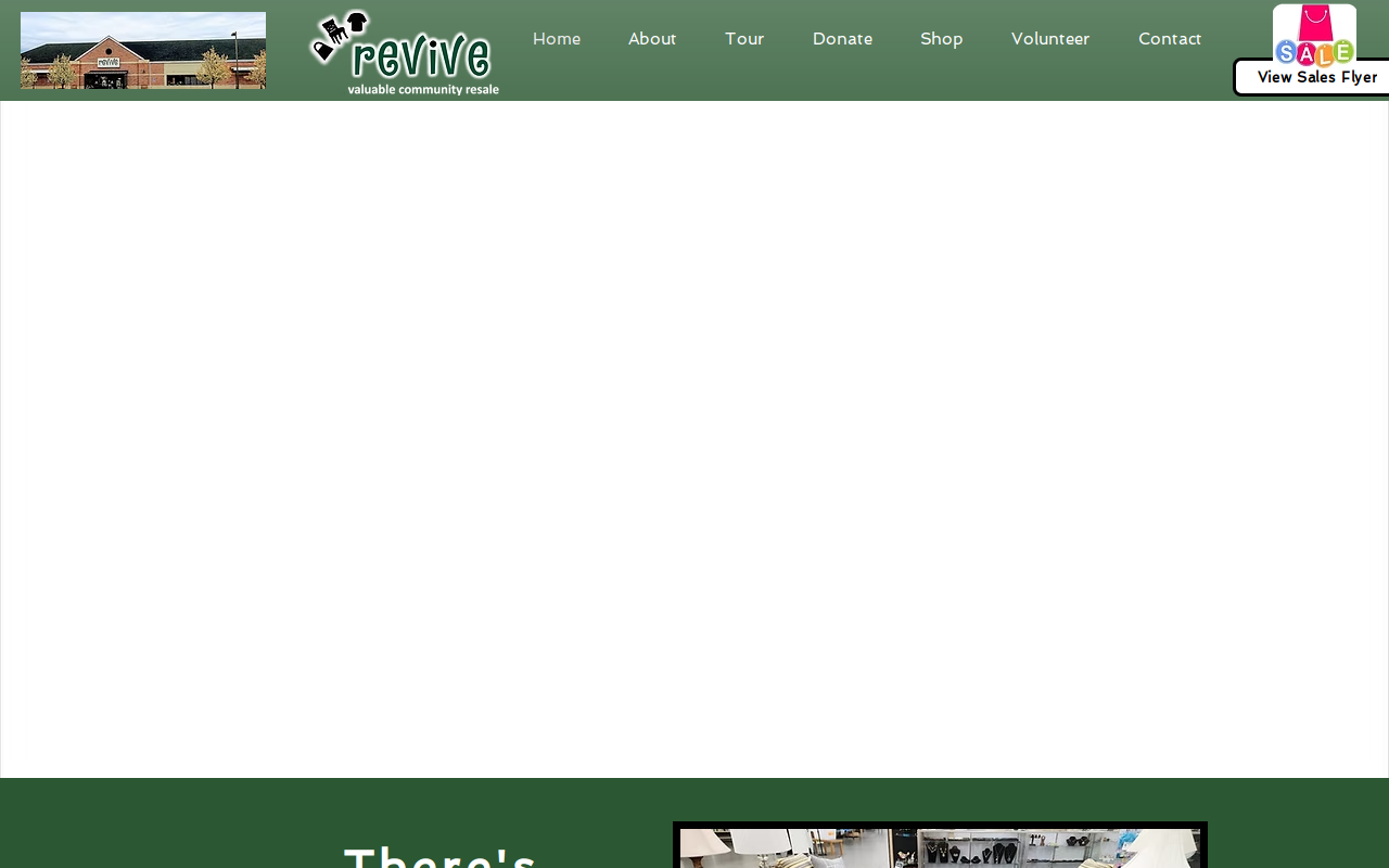 Revive website preview