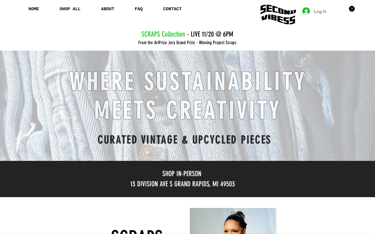 Second Vibess website preview