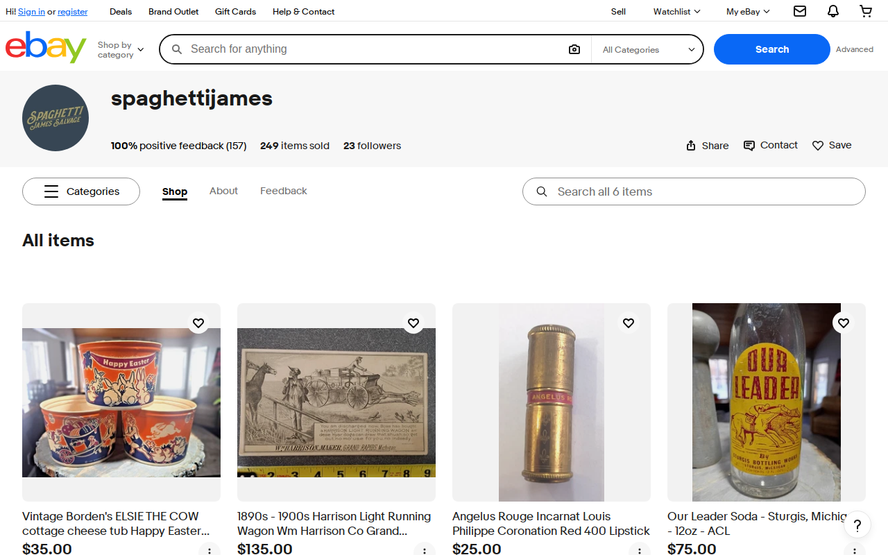 Spaghetti James Salvage website preview