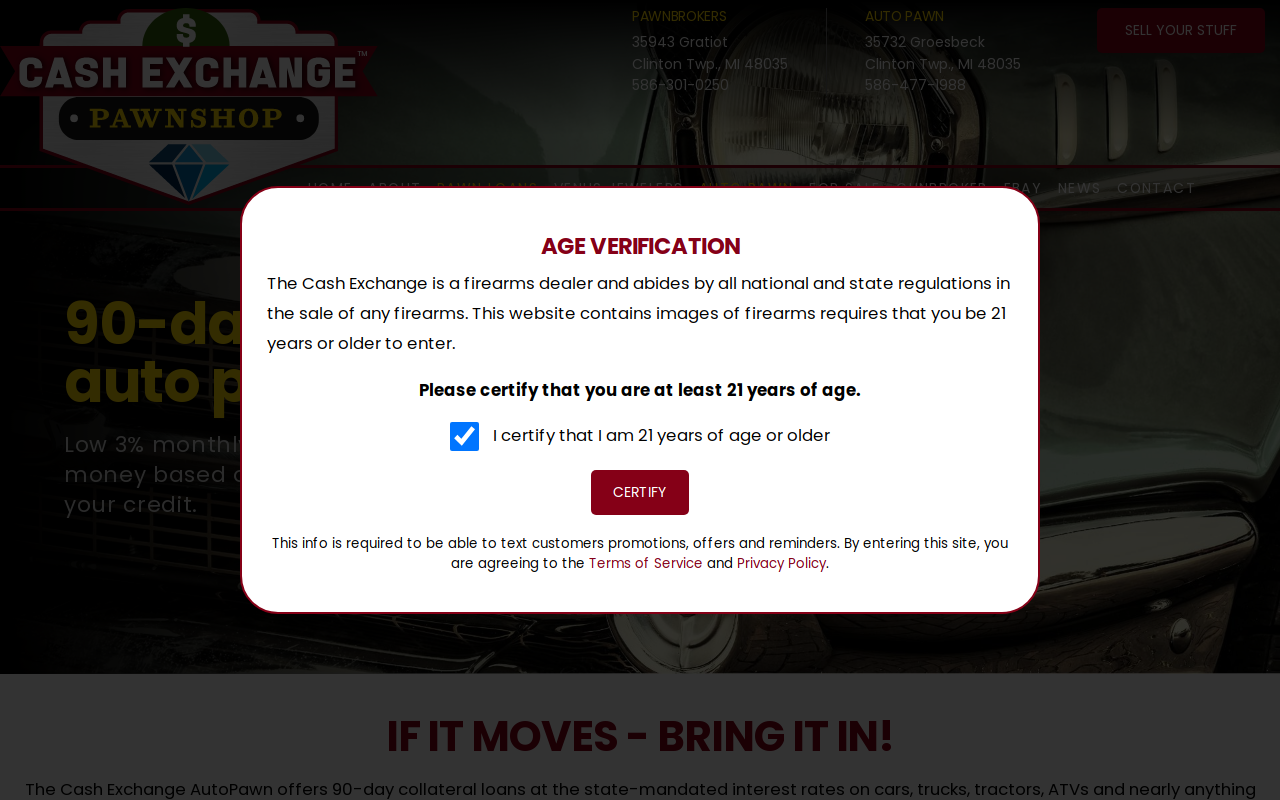 The Cash Exchange Automotive Pawnbroker website preview