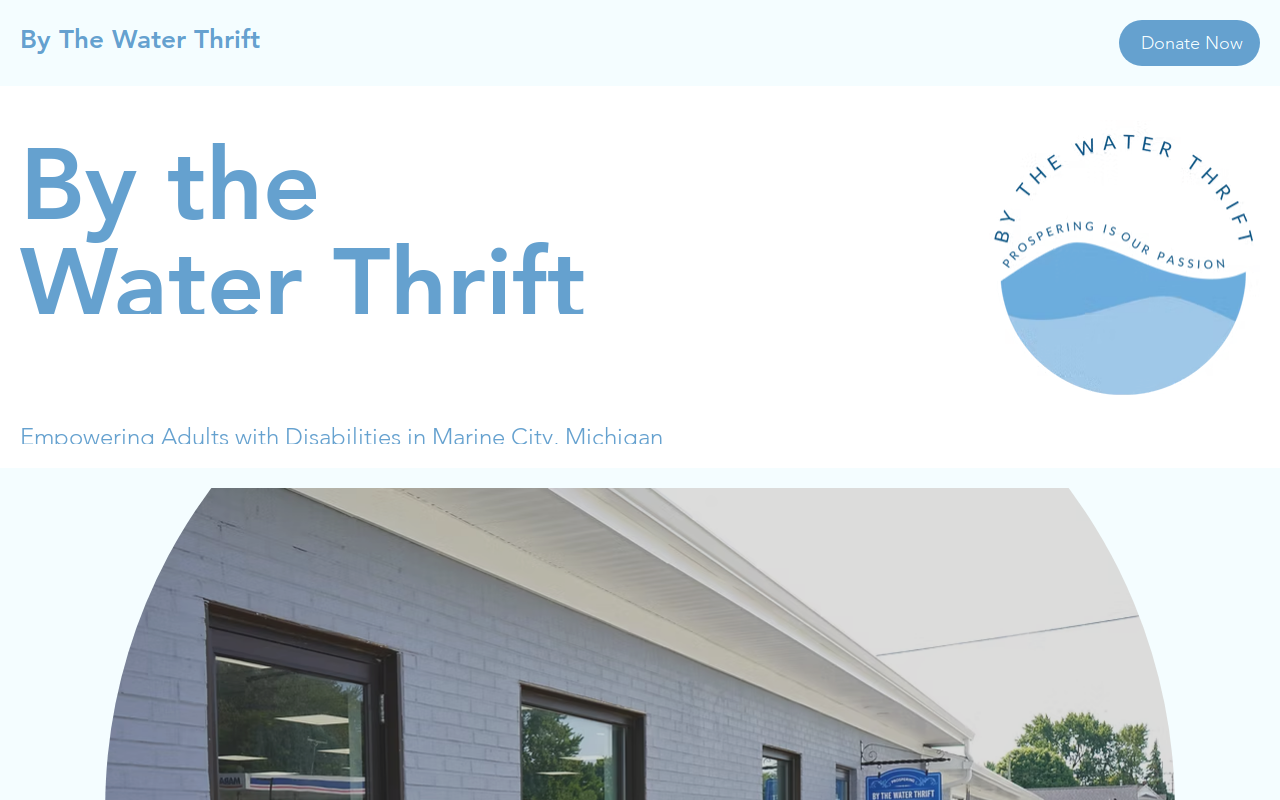 By The Water Thrift website preview