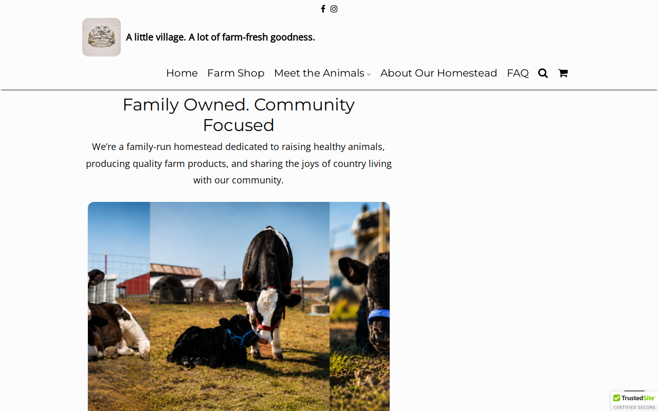 The Vintage Village Madill website preview