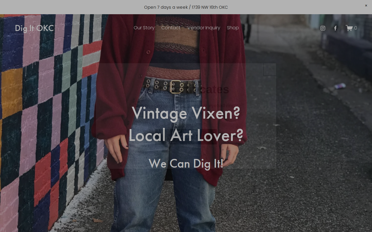 Dig It Boutique website preview