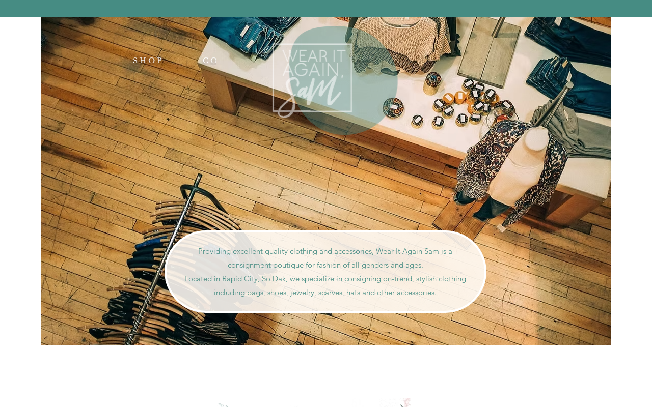 Wear It Again Sam Inc website preview