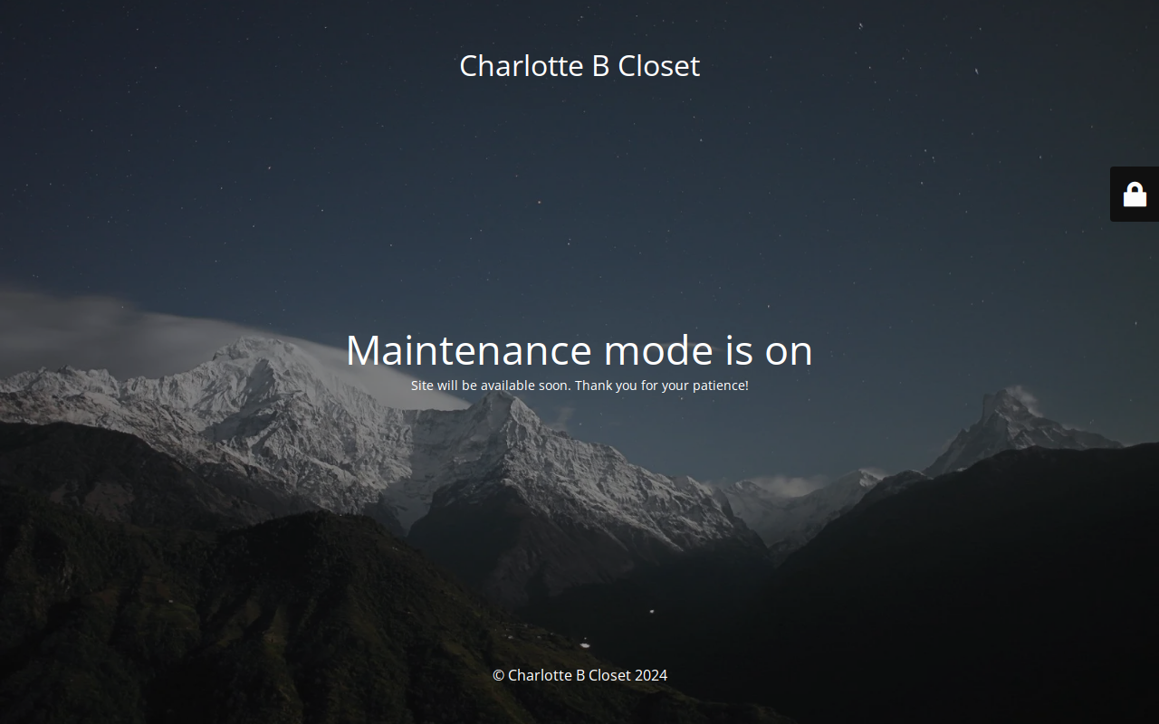 Charlotte B Closet Thrift Store website preview