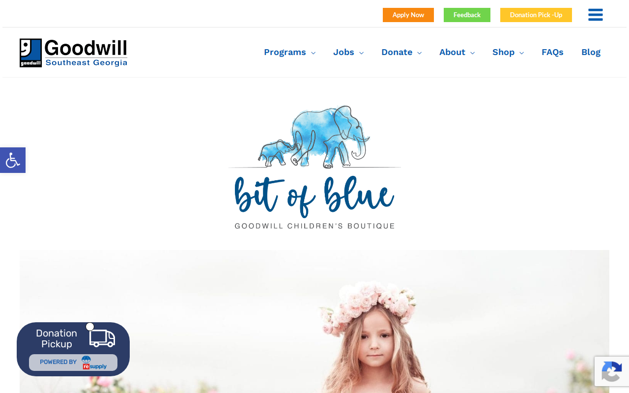 Bit of Blue website preview