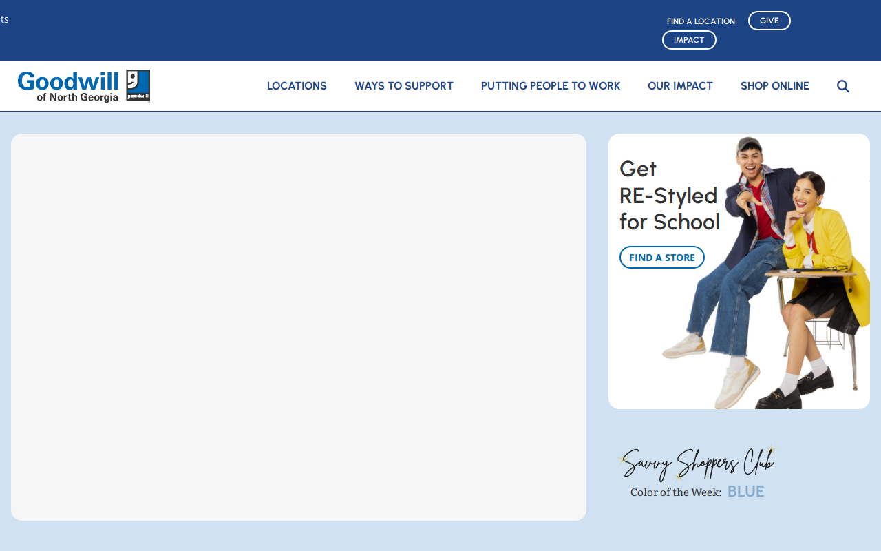 Goodwill website preview