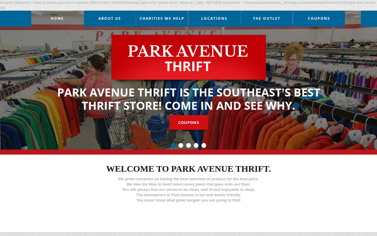 Park Avenue Thrift website preview