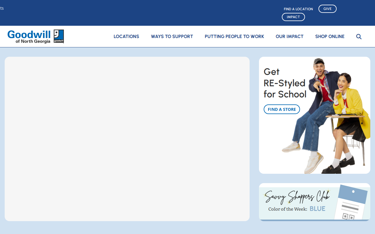 Goodwill website preview
