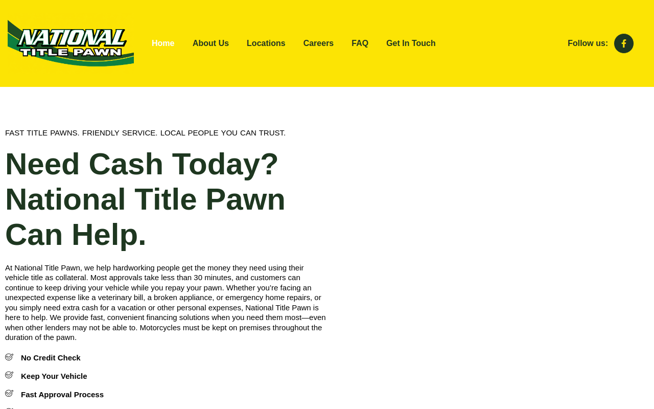National Title Pawn website preview