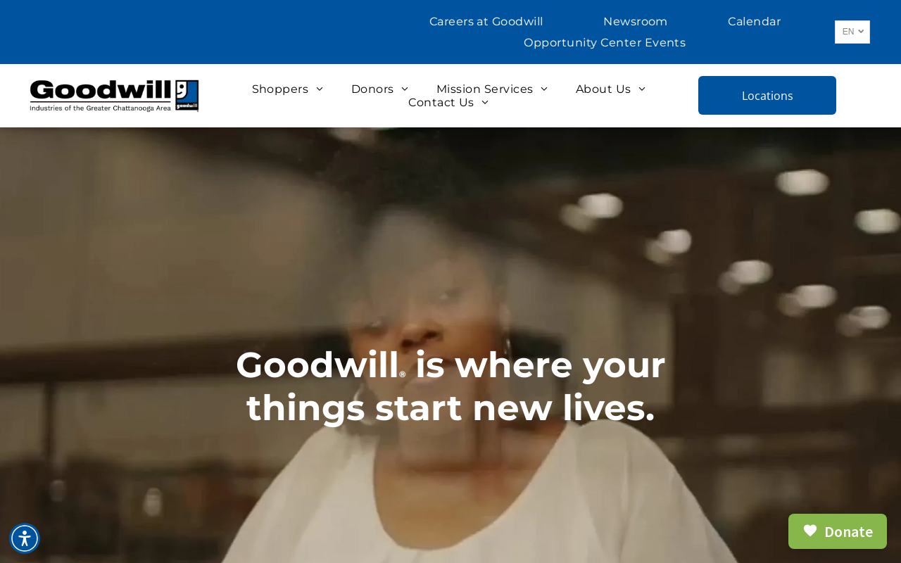 Goodwill website preview