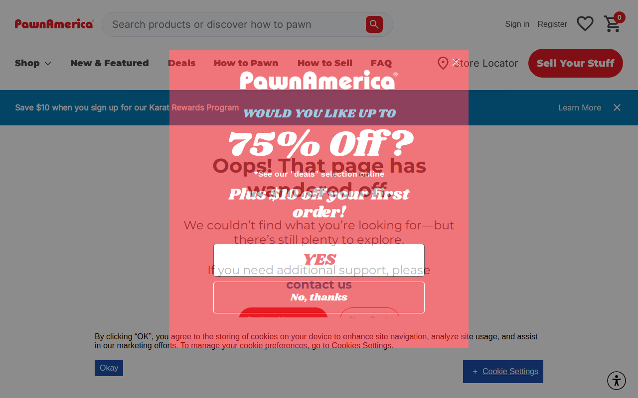 Pawn America website preview