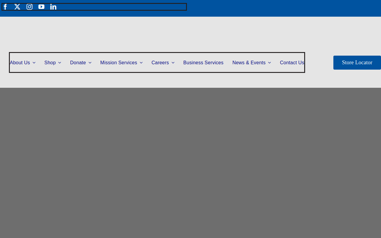 Goodwill website preview