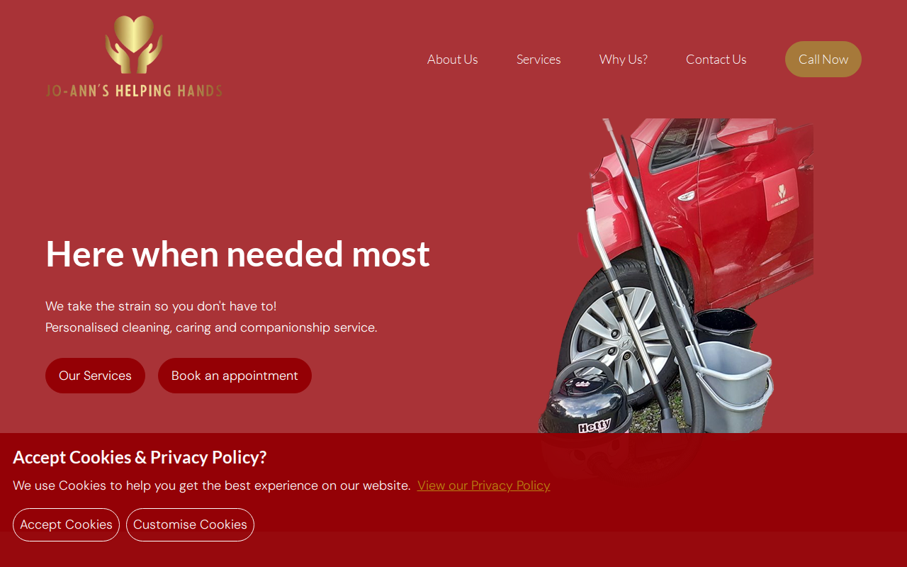 Chris Ann's Helping Hands, Inc website preview
