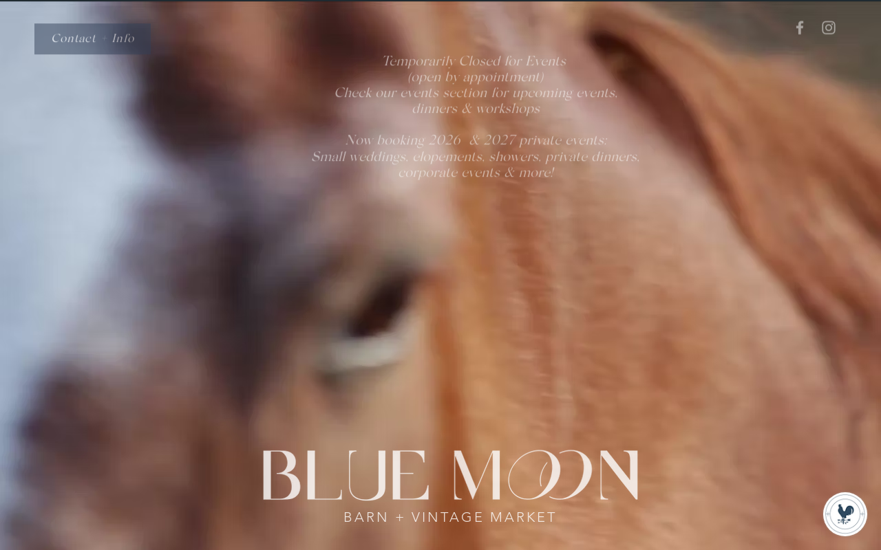Blue Moon Barn & Vintage Market website preview