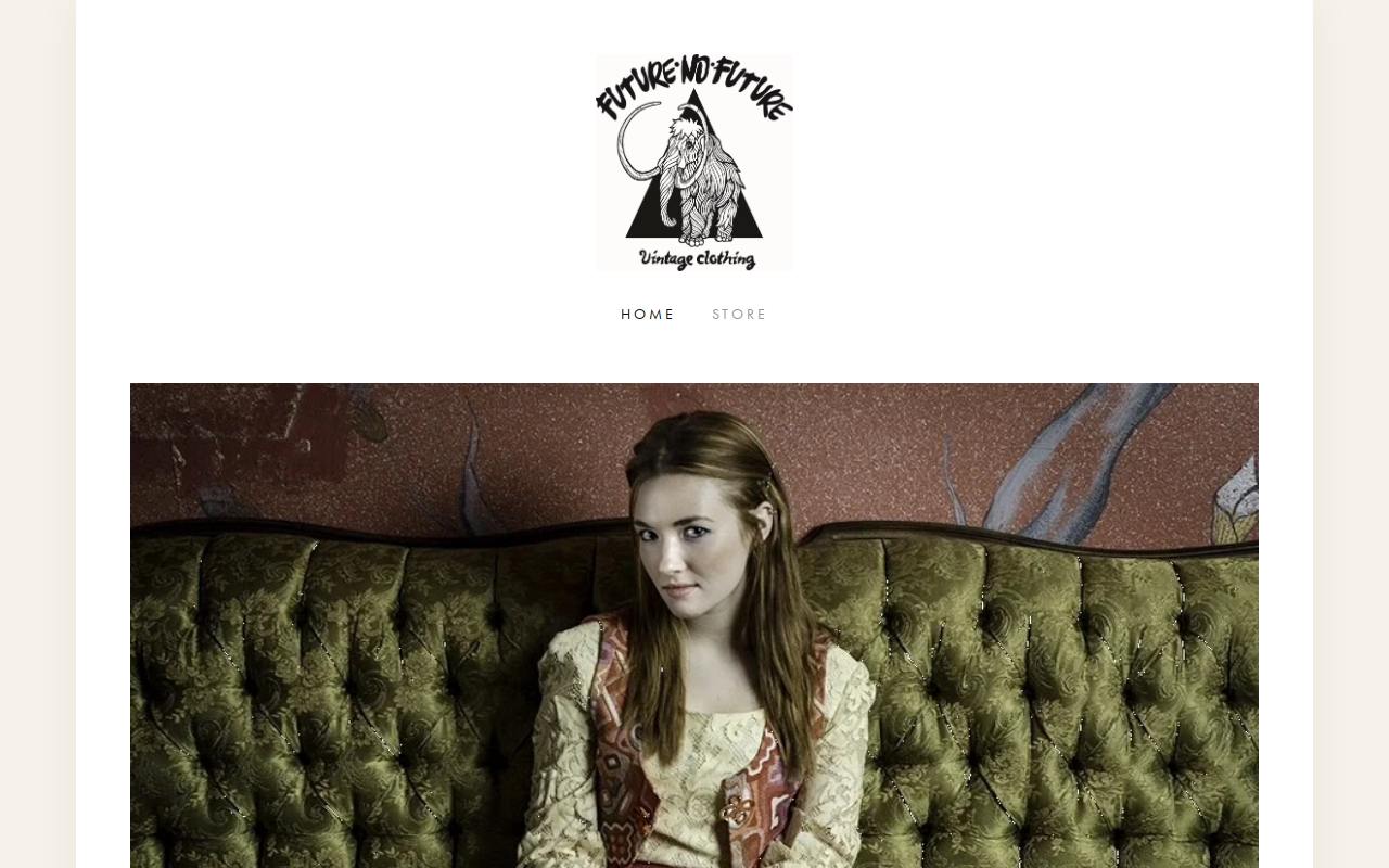 Future No Future Vintage Clothing website preview