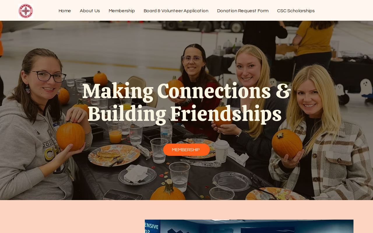 Cannon Thrift Store website preview