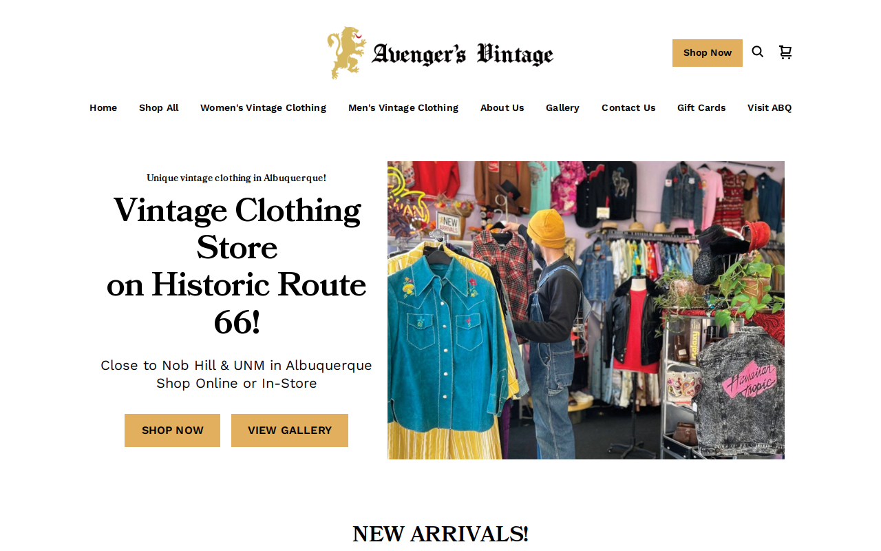 Avenger's Vintage website preview