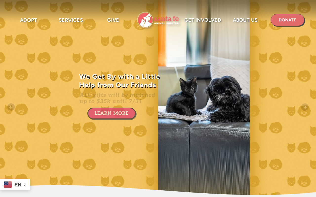 The Cat On Camino Entrada website preview