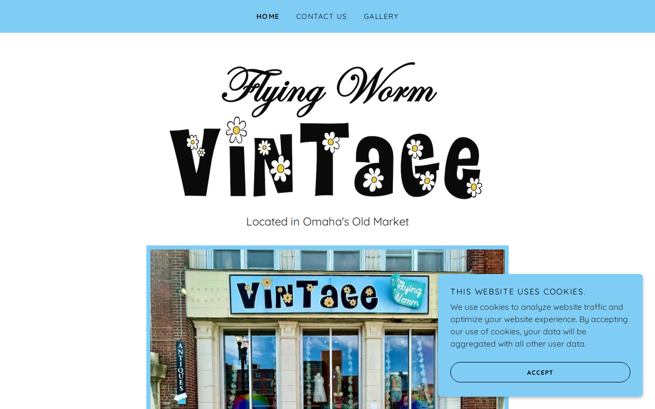Flying Worm Vintage website preview