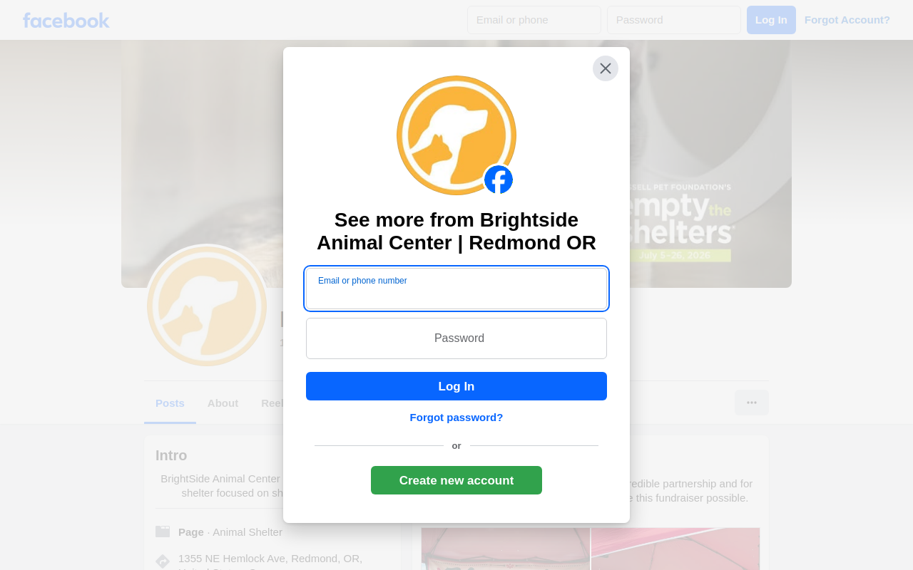 BrightSide Animal Center Thrift Store website preview